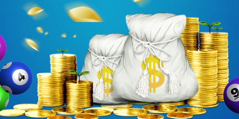 bạch thủ lô miền Bắc